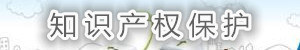 知識產權保護.jpg